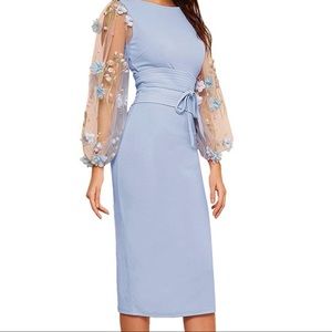 Mesh Sleeve Bodycon Pencil Dress